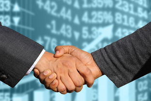 熊猫id贷要多久审核｜3分钟极速到账攻略