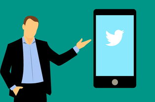 小猪白卡id贷哪里下载？最新安全借款渠道推荐